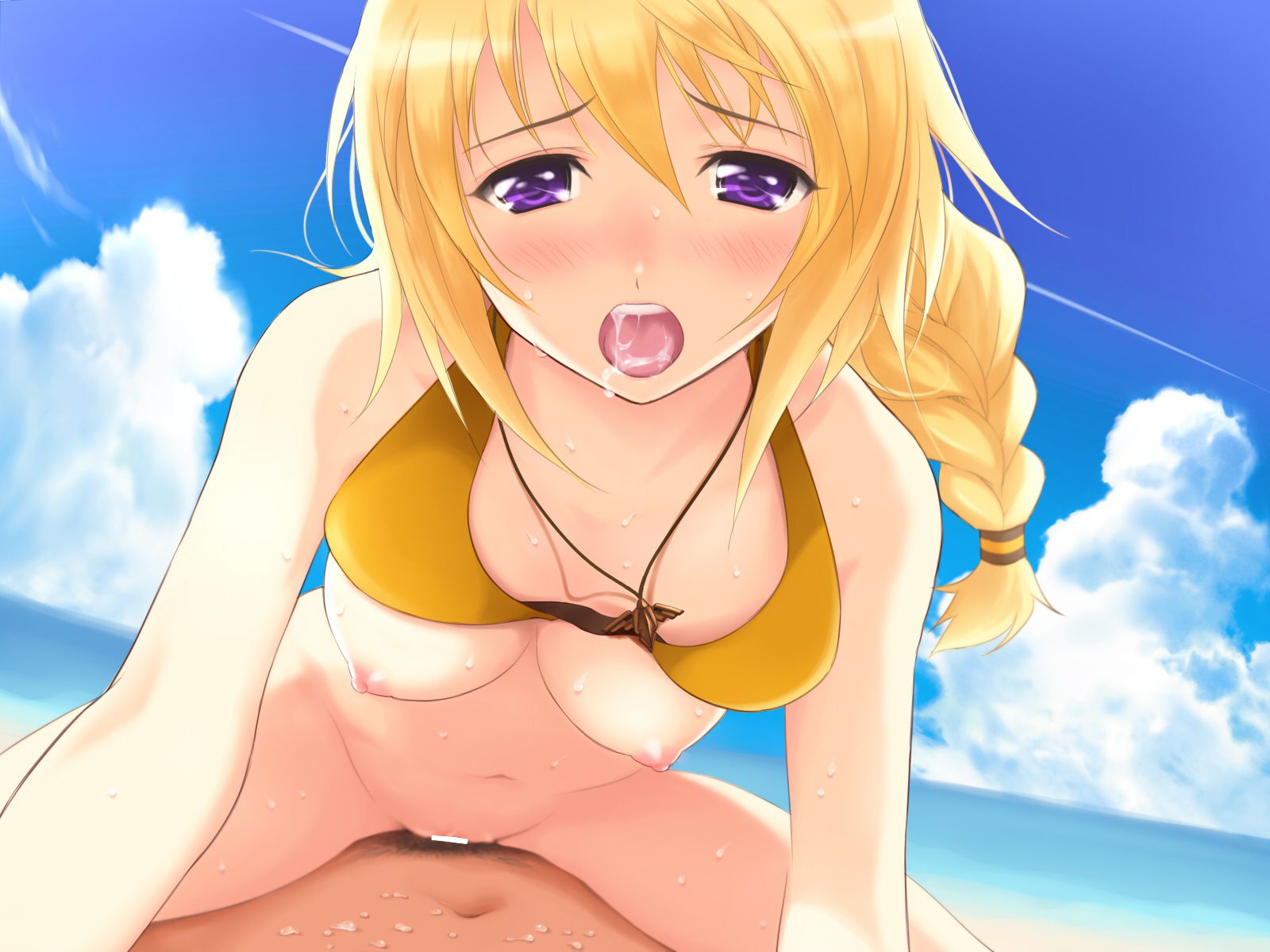 [Infinite Stratos] Charlotte Dunois Photo Gallery Part2 6