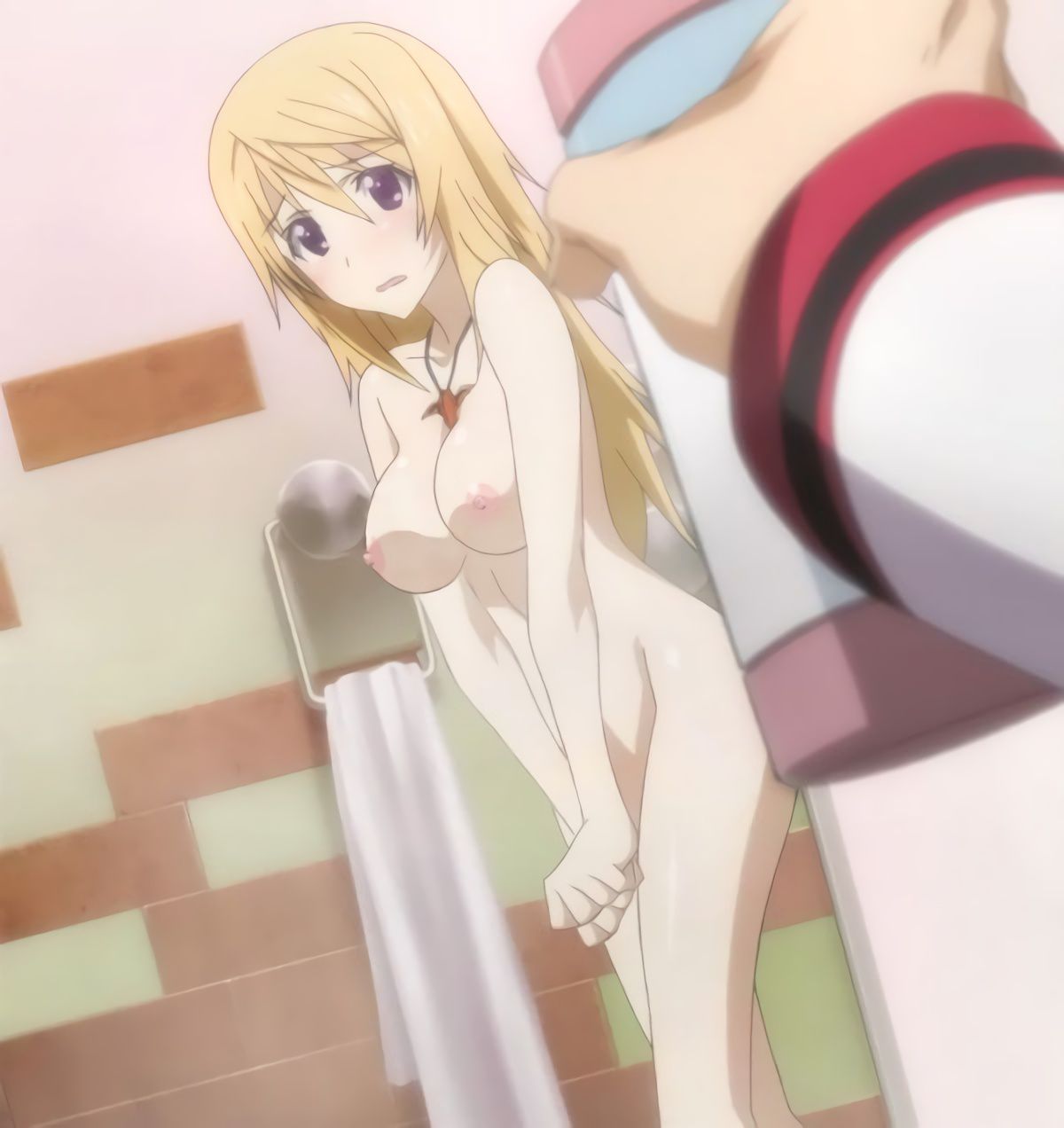 [Infinite Stratos] Charlotte Dunois Photo Gallery Part9 13