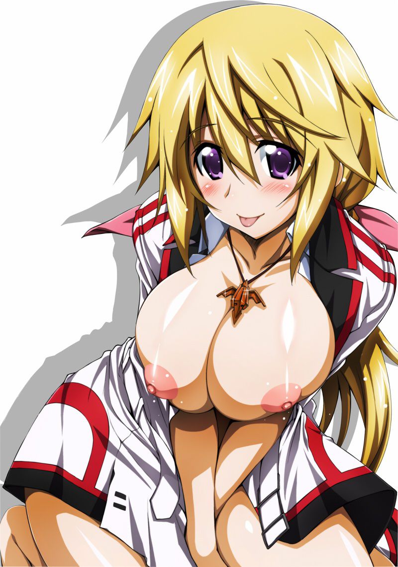 [Infinite Stratos] Charlotte Dunois Photo Gallery Part9 15