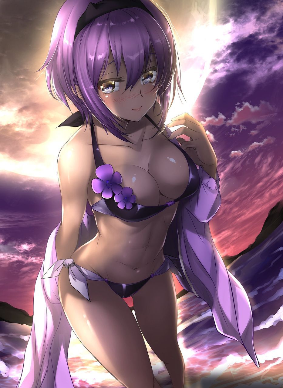 [2nd] [Fate series] second erotic images of characters coming out [Fate series] 30