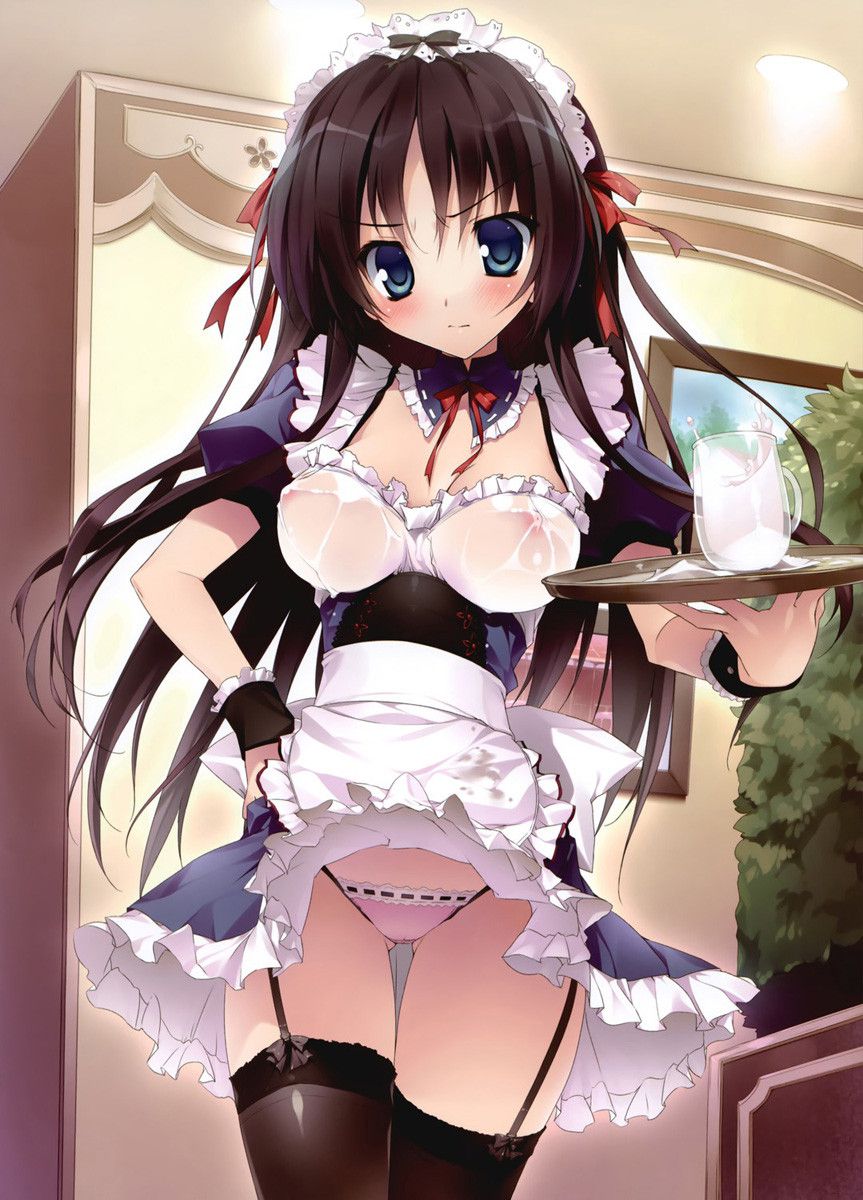 Second erotic image of maid 12