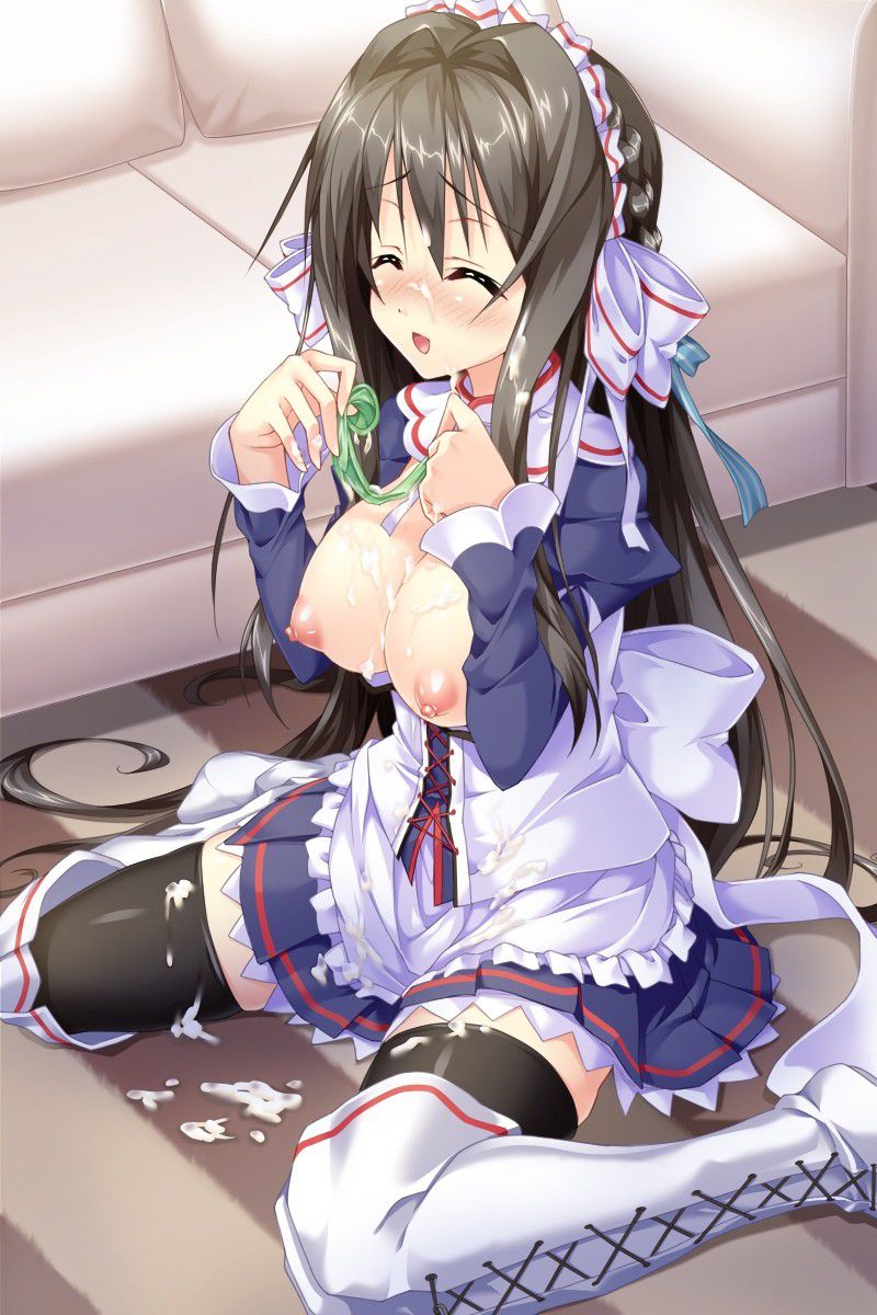 Second erotic image of maid 3