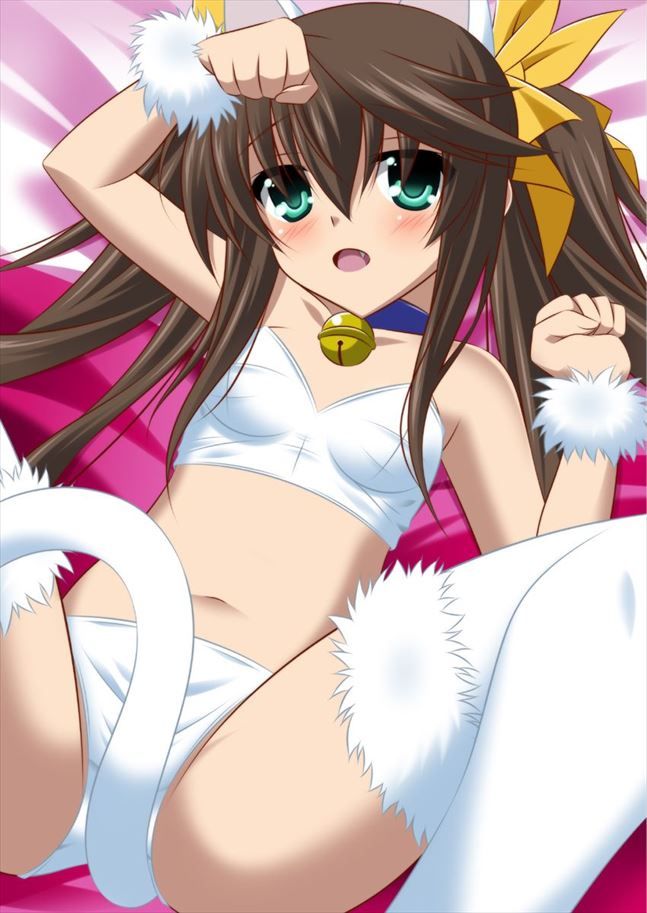 Erotic image that comes out just by imagining the masturbation of the bell sound [Infinite Stratos] 2