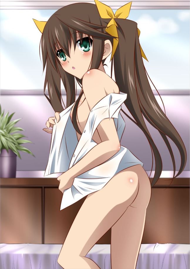 Erotic image that comes out just by imagining the masturbation of the bell sound [Infinite Stratos] 8