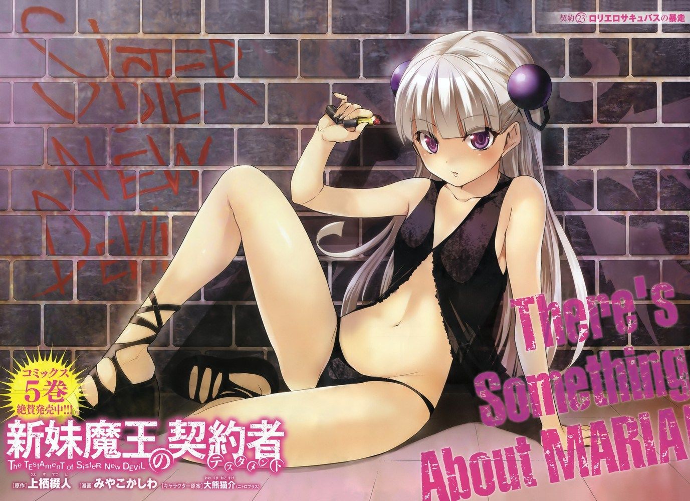 [The new sister Devil's Contractor] (Shinma Testament) Naruse Maria (Naruse Maria) stripping of Photoshop and photo gallery 6