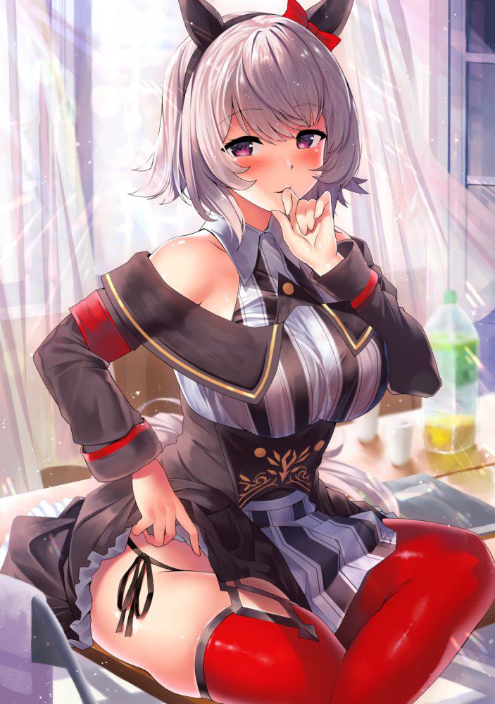 【Secondary】Silver-haired and white-haired girl image Part 33 33