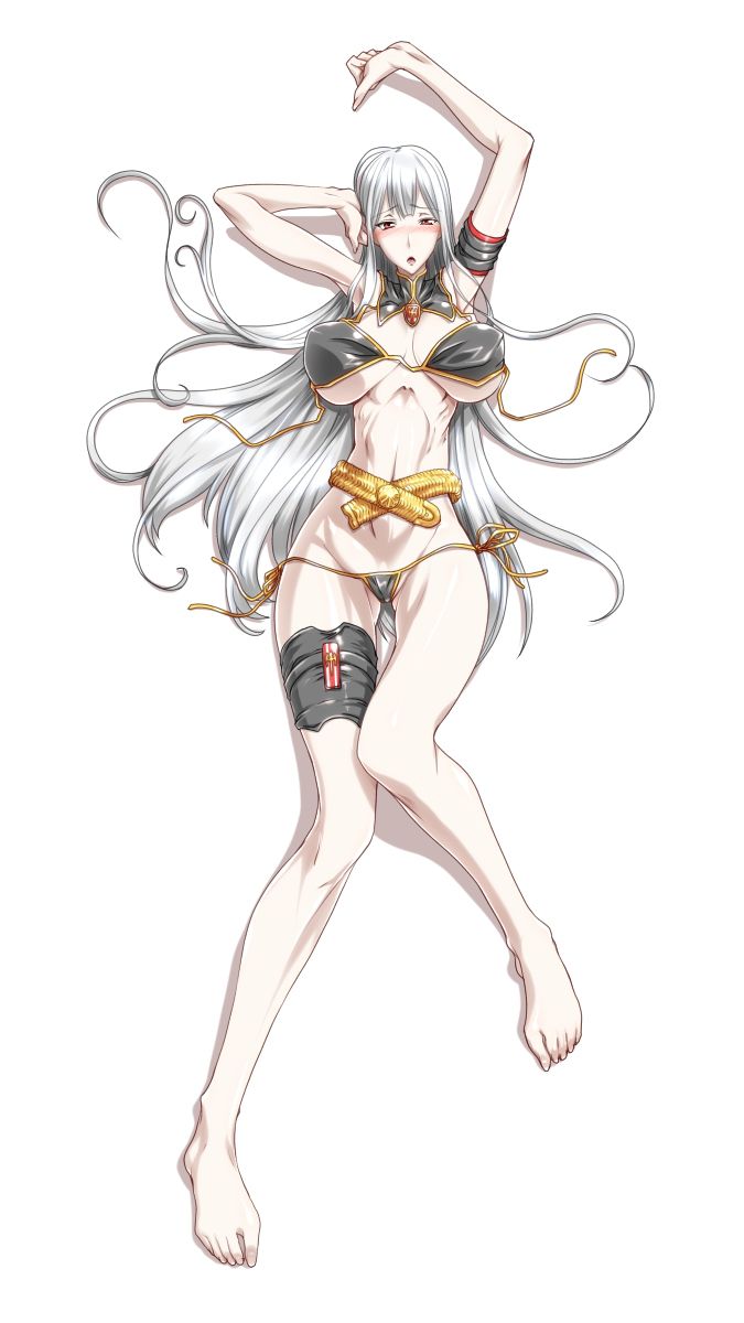 Selvaria Bles (Valkyria Chronicles) セルベリア・ブレス 599