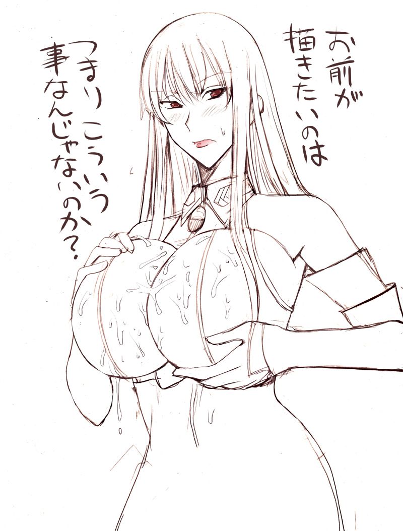 Selvaria Bles (Valkyria Chronicles) セルベリア・ブレス 815