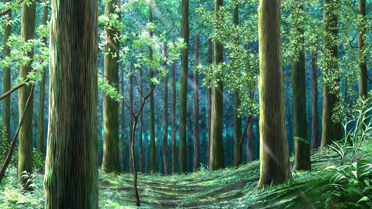 Background: Forest, forest, brook, Sky and other natural background 2