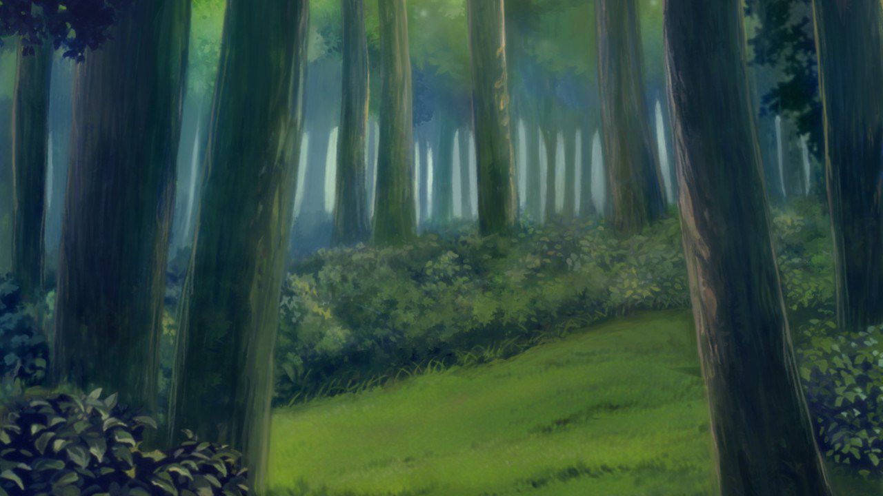Background: Forest, forest, brook, Sky and other natural background 8