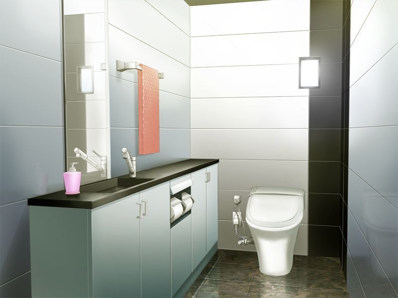 Background 【 toilet 】 background image of toilet and lavatory that can be used to create erotic Photoshop 11