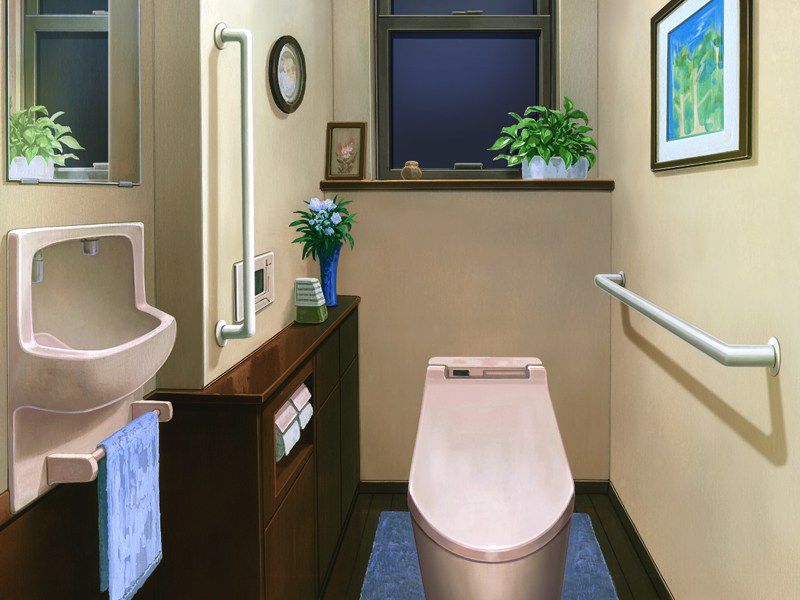 Background 【 toilet 】 background image of toilet and lavatory that can be used to create erotic Photoshop 12