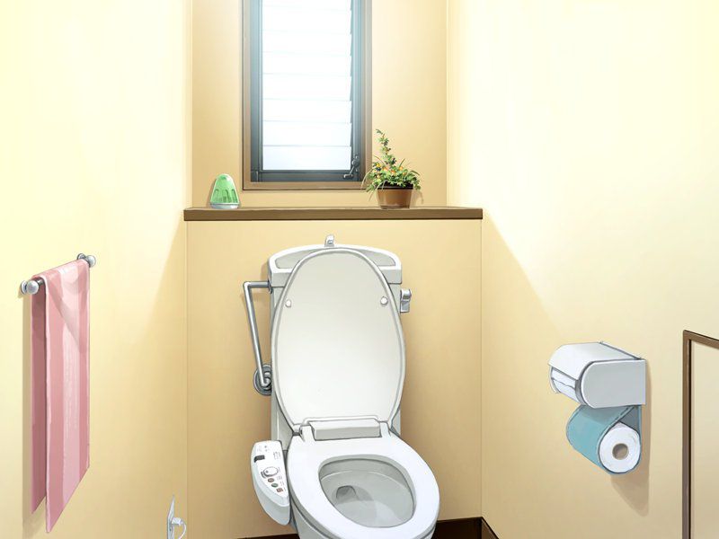 Background 【 toilet 】 background image of toilet and lavatory that can be used to create erotic Photoshop 16