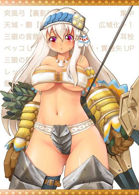 [111 images] about two-dimensional erotic image of the female warrior. 1 [Bikini Armor] 51