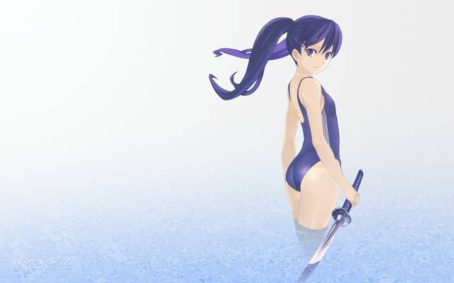 [61 pieces] Erofeci image of a two-dimensional swimsuit girl. 3 24