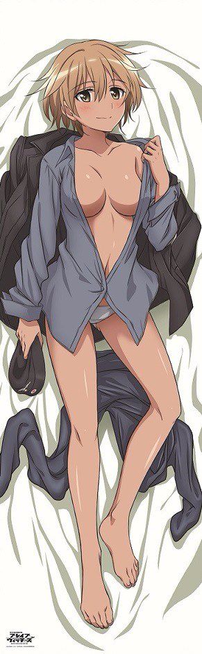 [Dakimakura] Image of erotic two-dimensional pillow cover anime game system part 53 14