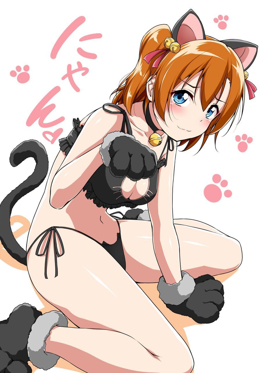 Secondary erotic pictures of erotic cute girl wearing a cat lingerie [second order] [cat lingerie] 18