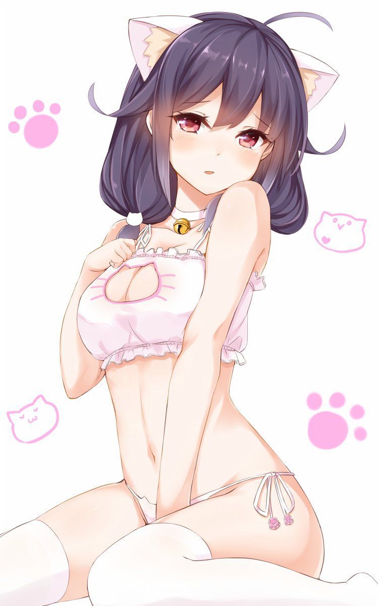 Secondary erotic pictures of erotic cute girl wearing a cat lingerie [second order] [cat lingerie] 9