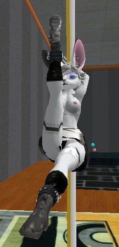 Second Life - Dusting Dusty 1