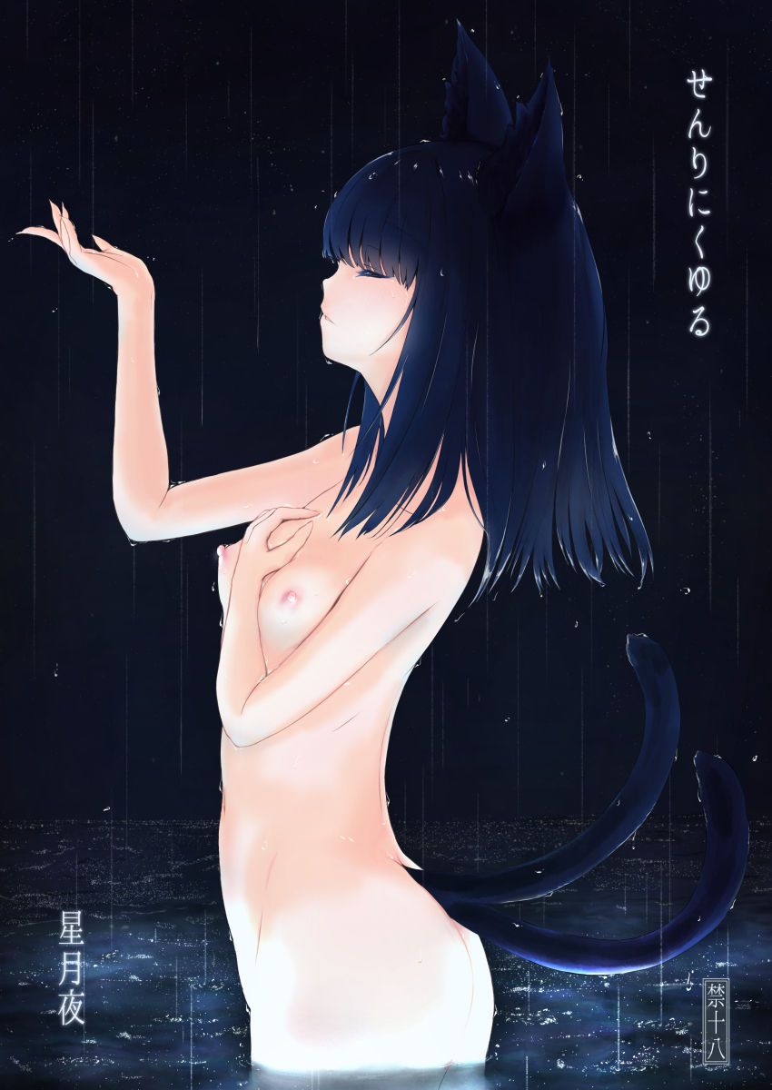 [nuirususu] Cat girls gallery 「ぬくいるすす] 猫女 gallery 1