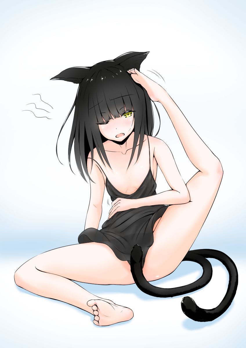 [nuirususu] Cat girls gallery 「ぬくいるすす] 猫女 gallery 7