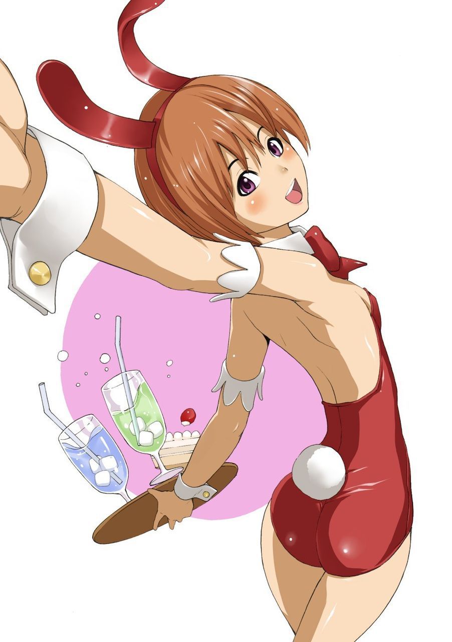 [2nd edition] erotic cute bunny's secondary photo 14 [bunny Girl] 20