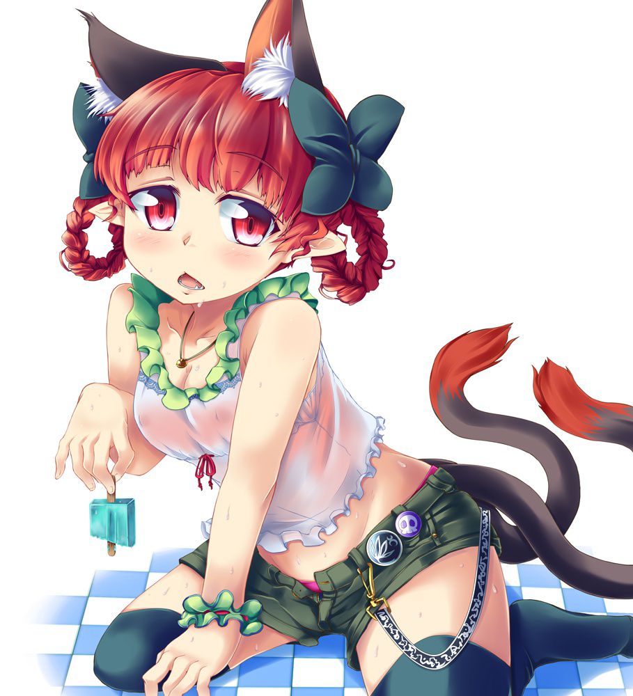 [Touhou Project] Flame cat Rin photo Gallery Part3 24