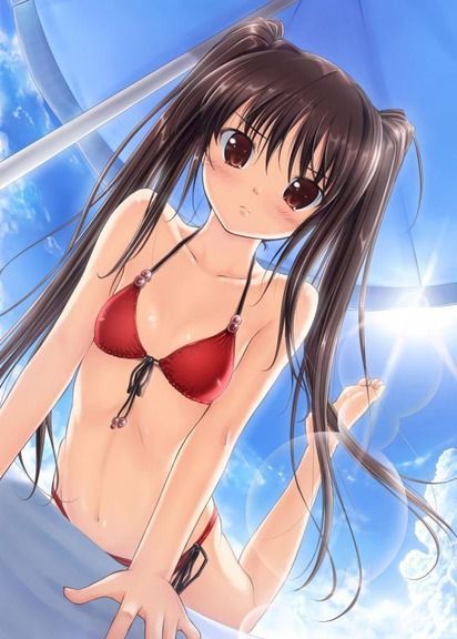 [Twin tails] tsuinte beautiful girl image Part 11 [2-d] 27