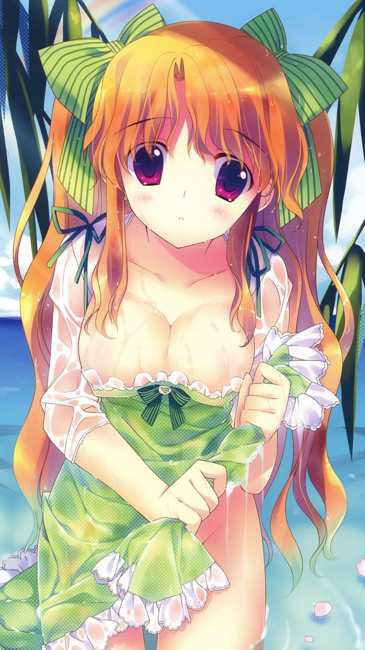 Second erotic image of the girl has become transparent clothes [second order] [transparent] 26