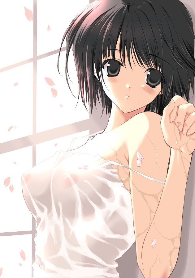 Second erotic image of the girl has become transparent clothes [second order] [transparent] 9