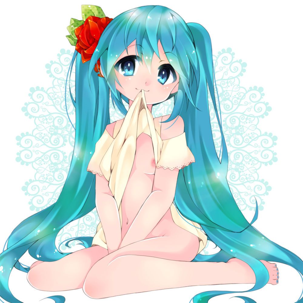 [100 pieces] cute hatsune miku secondary erotic image [barefoot, feet fetish, Vocaloid] 26