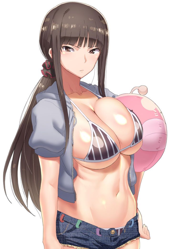 Shiho Nishizumi (Girls Und Panzer) 西住しほ 2