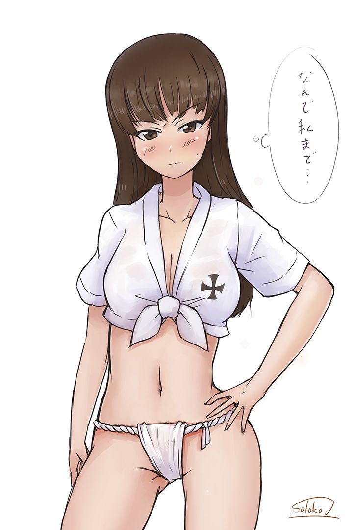 Shiho Nishizumi (Girls Und Panzer) 西住しほ 22