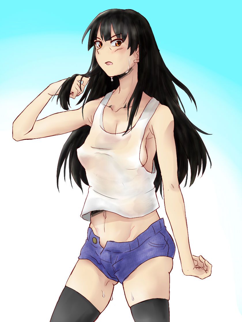 Shiho Nishizumi (Girls Und Panzer) 西住しほ 66