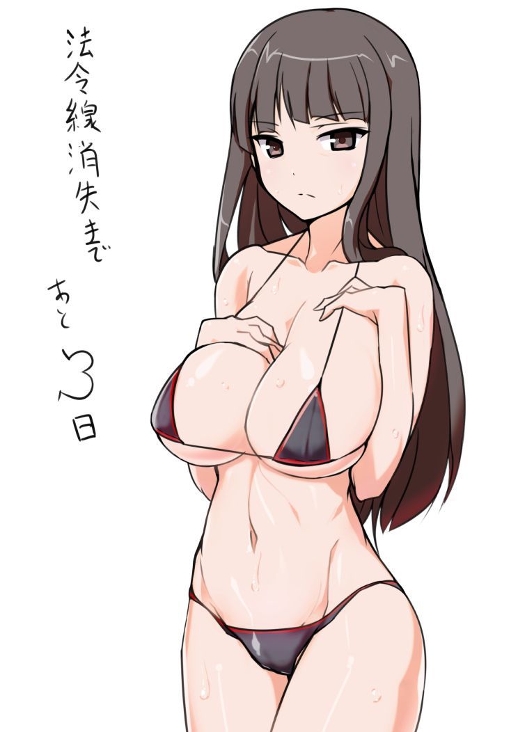 Shiho Nishizumi (Girls Und Panzer) 西住しほ 69