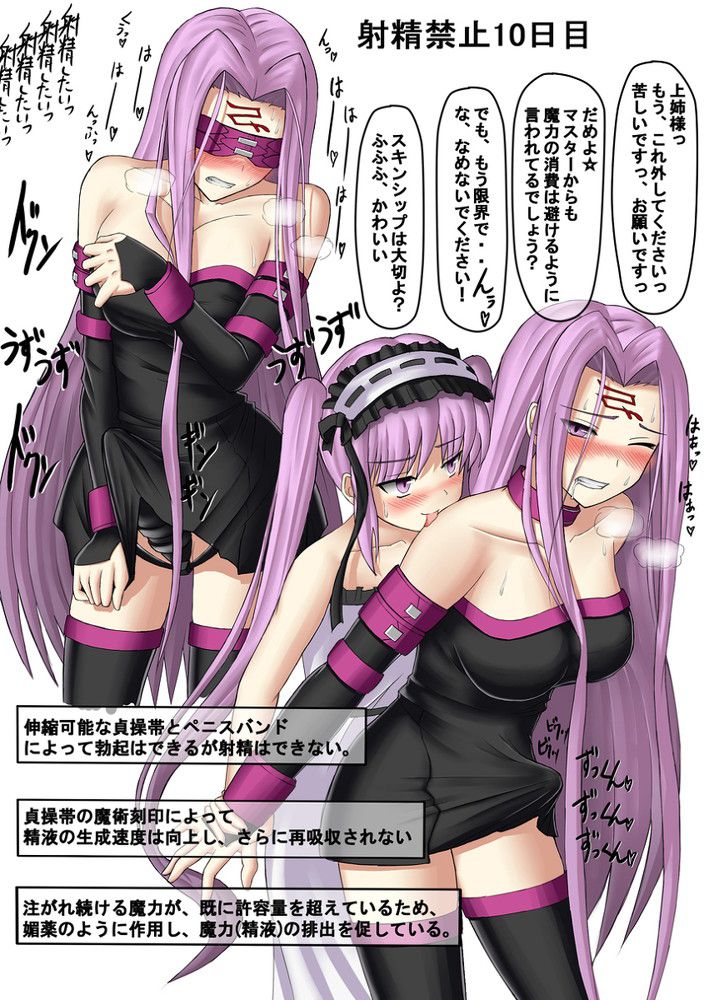 [Fate/Grandorder (FGO)] Stenno &amp; Euryale erotic Pictures Summary! 19