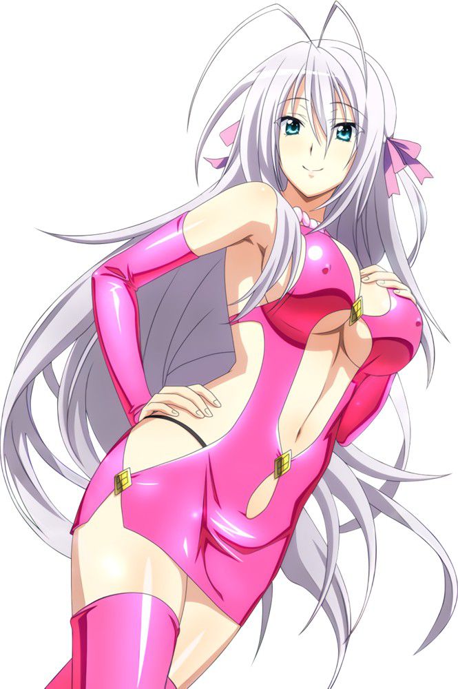 Rossweisse (High School DxD) 9