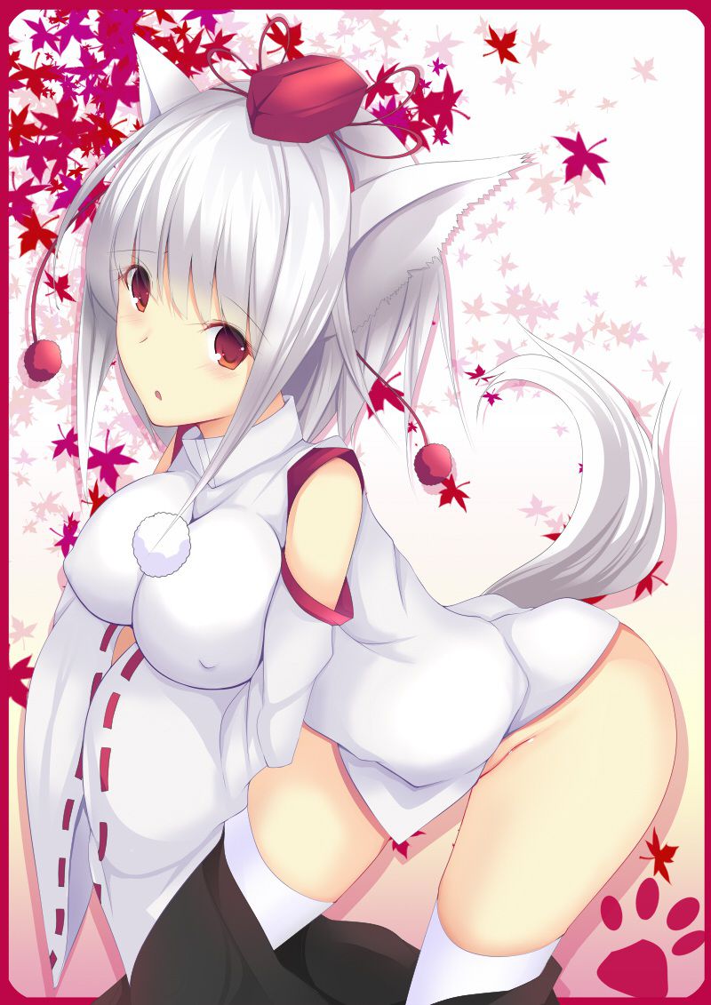 【Touhou Project】Erotic image of Inu Ran Bowl! part4 27