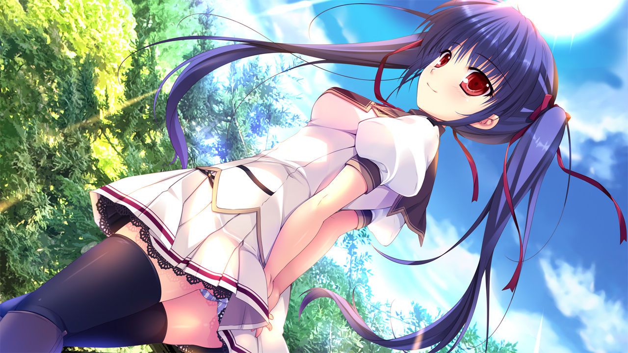 [Twin tails] tsuinte beautiful girl image part 14 [2-d] 31