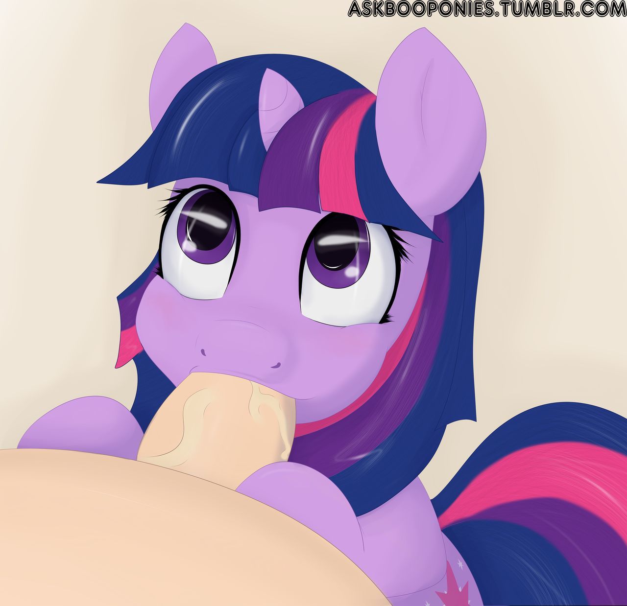 ARTIST Booponies 1