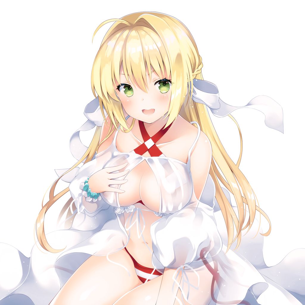 [Fate] Nero Claudius Photo Gallery 5