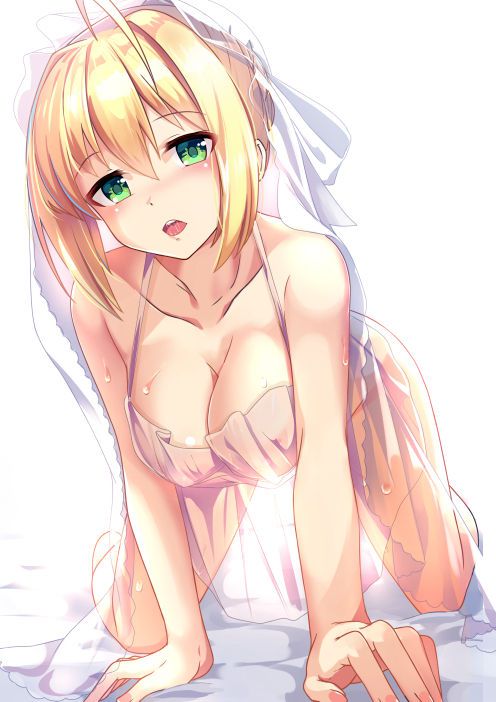 [Fate] Nero Claudius Photo Gallery 97