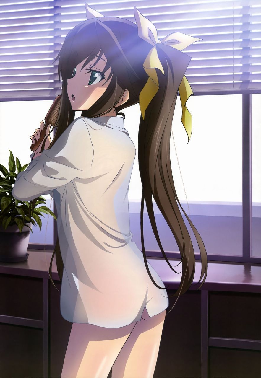 [Twin tails] tsuinte beautiful girl image part 16 [2-d] 13