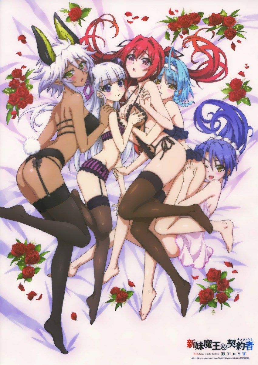 [Dakimakura] image of erotic Dakimakura cover anime game system part 74 13
