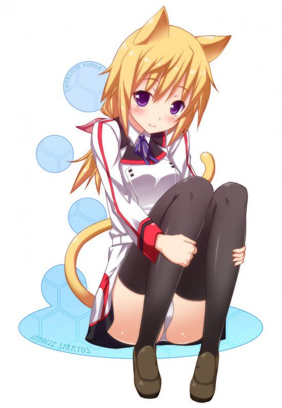 【 IS = Infinite Stratos &gt; 】 Charlotte Dunois Photo Gallery Wwww Part3 11