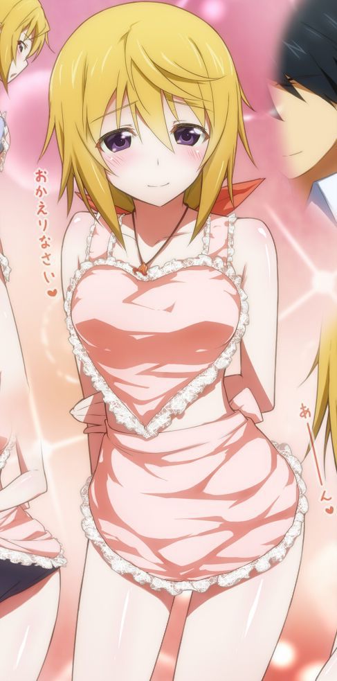 【 IS = Infinite Stratos &gt; 】 Charlotte Dunois Photo Gallery Wwww Part3 12