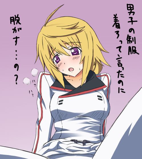 【 IS = Infinite Stratos &gt; 】 Charlotte Dunois Photo Gallery Wwww Part3 15