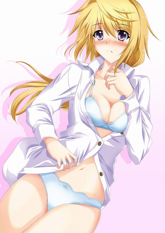 【 IS = Infinite Stratos &gt; 】 Charlotte Dunois Photo Gallery Wwww Part3 21