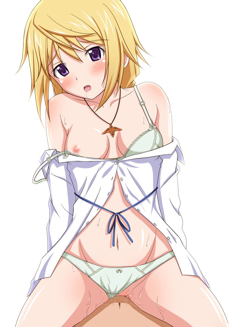 【 IS = Infinite Stratos &gt; 】 Charlotte Dunois Photo Gallery Wwww Part3 26