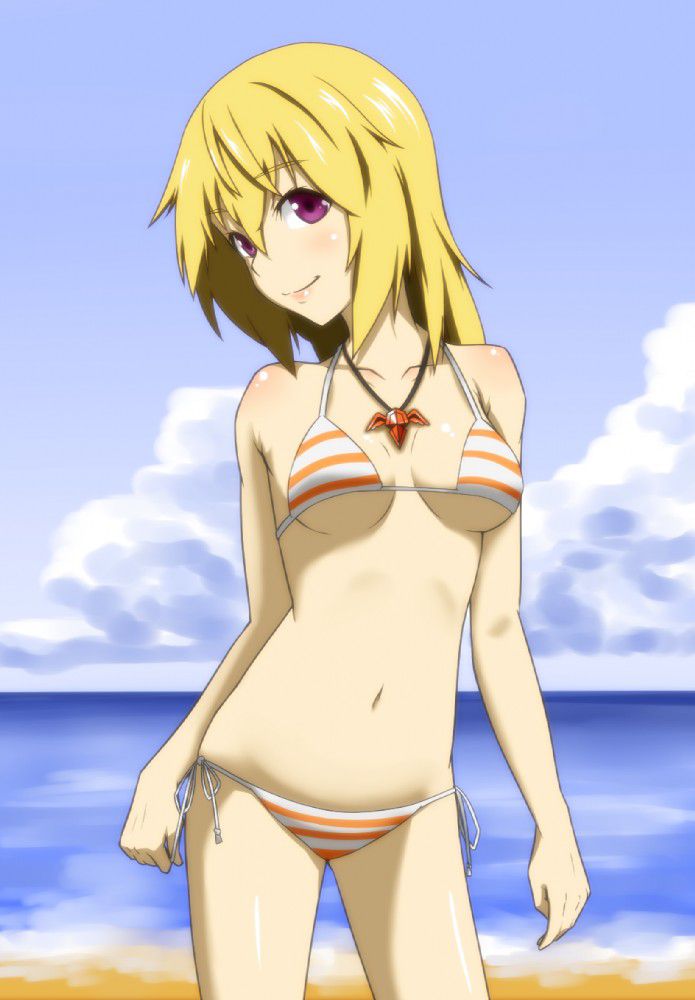 【 IS = Infinite Stratos &gt; 】 Charlotte Dunois Photo Gallery Wwww Part3 34